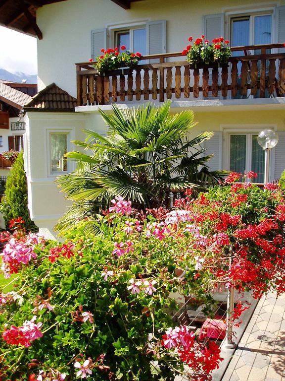 Garni Dornach Hotel Schenna Exterior photo