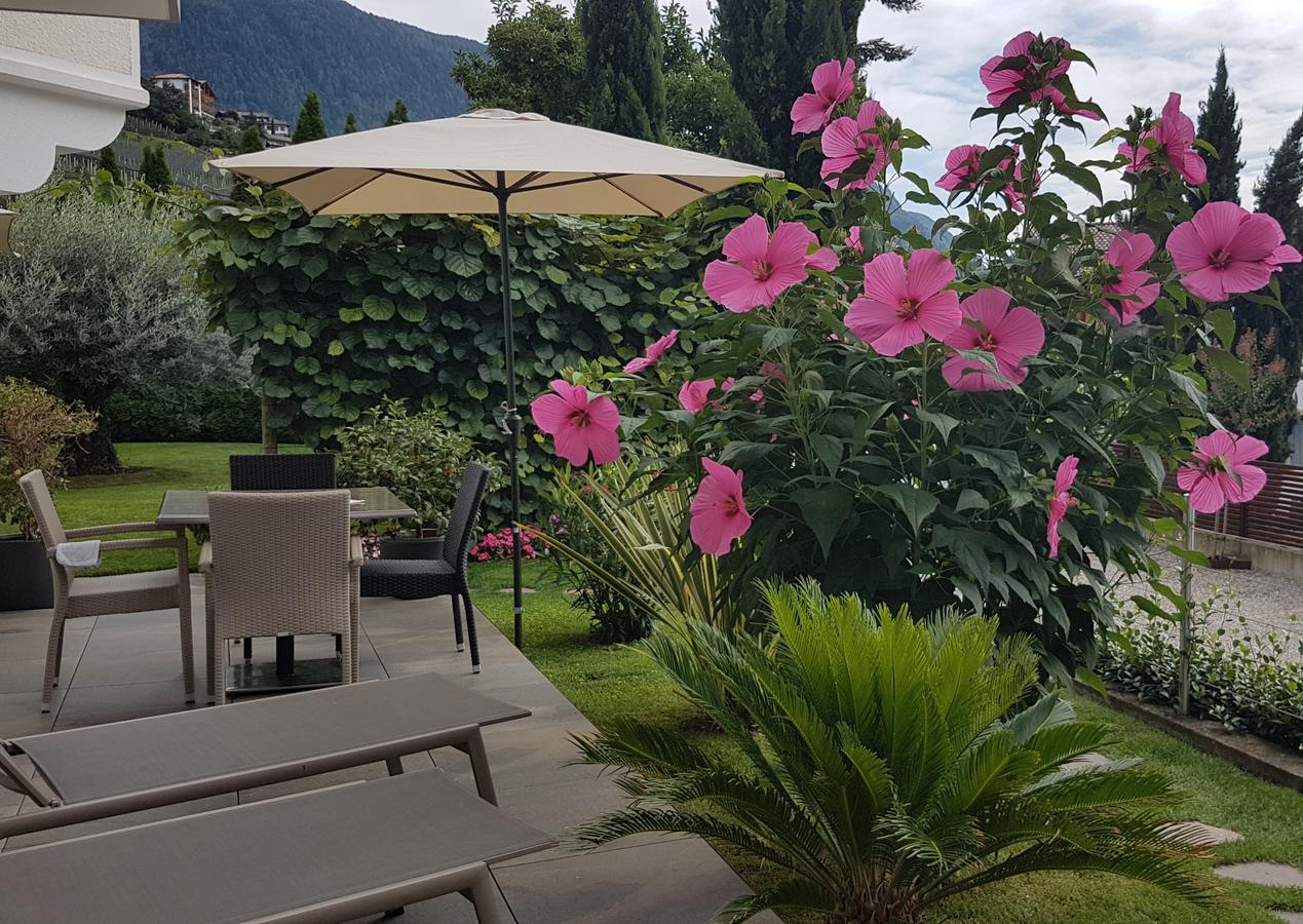Garni Dornach Hotel Schenna Exterior photo